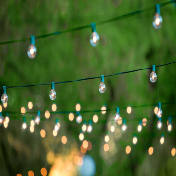 50 Socket Globe String Lights (Bulbs Included)