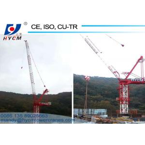 50m Crane Luffing Jib 380V/60Hz Internal Climbing Tower Crane with Tower Crane Trolley and Tower Crane Climbing Cage
