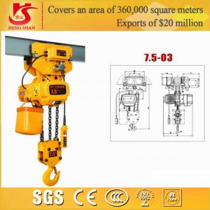 China High efficiency and good quality electric chain goods hoist supplier