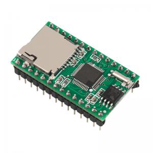 RS232 Communication SD Card Module WT5001M02-28P With SPI Interface