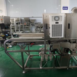 China Dried Seaweed Plate automatic AI color sorting machine, equipped with a precise camera, used for product sorting wholesale