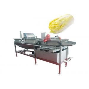 China 304 SS Vegetable Fruit Washing Machine Salad Cleanning Equipment supplier