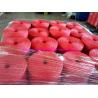 China UV Stabilized Polypropylene Tomato Trellis Twine For Shade Net House wholesale