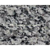 China Swan White Granite Tiles/Slab, Natural Gray White Granite on sale