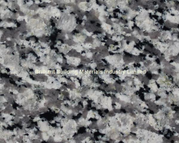 Swan White Granite Tiles/Slab, Natural Gray White Granite