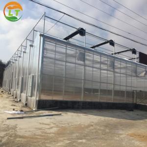 Large Polycarbonate Greenhouse for Vegetable and Flower Cultivation