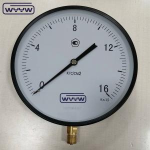 China Dial size 250mm bottom M20X1.5 black steel general air pressure gauge company supplier