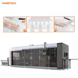 Four stations Egg Tray Manufacturing Machine Egg Packaging Thermoforming machine