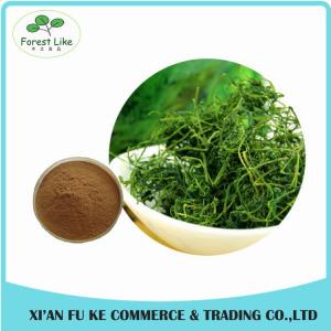 Wholesale Natural Saponins 20 %- 98 % Gynostemma Extract for Lower Blood Pressure and Lipid
