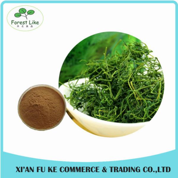 Wholesale Natural Saponins 20 %- 98 % Gynostemma Extract for Lower Blood