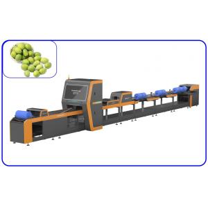 Intelligent Automatic Olive Sorting Machine 4 Channel High Precision