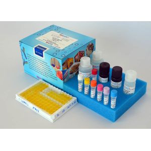 China Methyltestosterone ELISA Test Kit Rapid Detect Competitive Enzyme Immunoassay wholesale