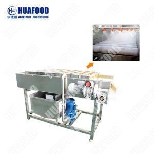 China Fruits And Vegetables Washing Machine Washing Machine Assembly Line Vegetable Washer wholesale