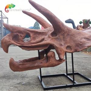 China Jurassic World Replica Triceratops Skeleton Sunproof For Museum supplier