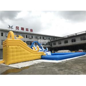 Customized Inflatable Water Park Slide With Pool / Kids Inflatable Playground