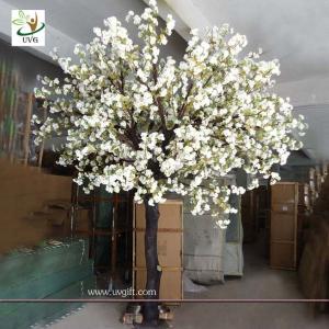 UVG planning a wedding fake white cherry blossom tree for indoor decoration CHR071