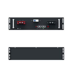 China High Voltage 48V 51.2V 70Ah 100Ah 1kw 5kw 10kw  50kw Multi-function Rack Mounted Solar Energy Storage Lithium Ion Battery wholesale