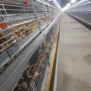 China H Frame Battery Broiler Chicken Cage Hot Galvanized Steel Wire Mesh supplier