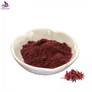100% Pass 80 Mesh Dried Hibiscus Flower Natural Food Coloring Powder Roselle Extract Powder 10%
