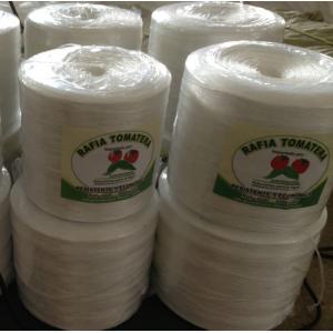 China UV Resistant Tomato Twine for Agro Vegetable Fruit Horticulture Greenhouse supplier