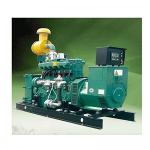 China 10KVA Biogas Motor Generator 500KW Methane Gas Generator Electricity supplier