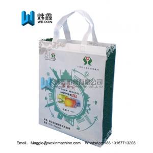 China Bank design Custom logo printed 100% pp spunbond non woven  gift bag supplier