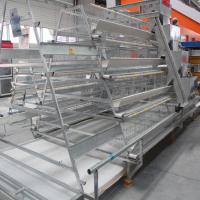 China Full Automatic Poultry Cage For Layers A Type 3 Tiers on sale