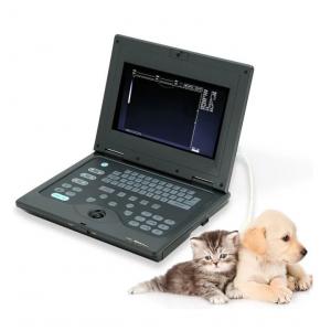 MS-M413 Medical Equipment Handheld Portable Device Vet Portable Animal Ultrasound Scanner