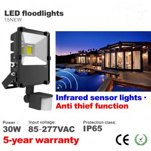 China 30W PIR Infrared induction Motion sensor Outdoor LED Floodlight lighting Flood light supplier