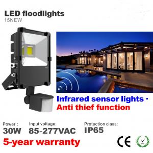 China 30W PIR Infrared induction Motion sensor Outdoor LED Floodlight lighting Flood light wholesale