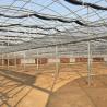 China Improve Ventilation in Multi-Span Agricultural Greenhouses with Rack and Pinion System wholesale