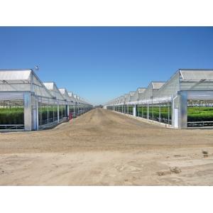 Saw Tooth Greenhouse 4 Seasons Green House With Heating System