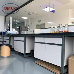 China Heavy Duty Chemistry Lab Workbench With Storage For Professional Laboratory Equipment supplier