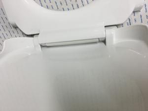western toilet lid