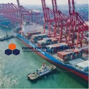 China Logistics International Shipping Freight Forwarder From China to Australia DDU/DDP supplier