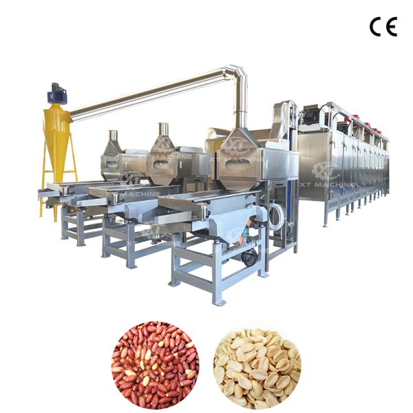 Customizable High Accuracy Peanut Blanching And Spliting Machine Roasted Peanut Blanching Machine