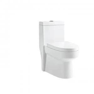 China Rimless Dual Flush One Piece Toilet Sanitary Ware Complete Toilet supplier