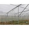 China Multi Span Shade Net Estufa à prova de ferrugem para morango e cogumelo wholesale