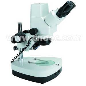 China Microscope stéréo A32.1202 de 10X-40X Digital avec la lampe d'halogène et la focalisation brute supplier