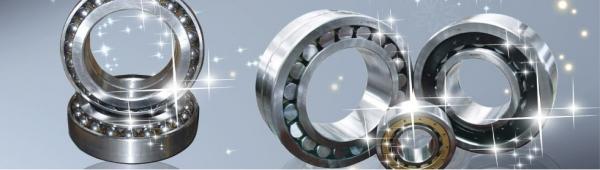 ball bearing 6302