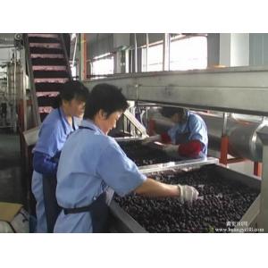 Customized Capacity Fruit Juice Processing Line Fully Automatic Control