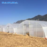 China Simplest Structure Hot Dip Galvanized Steel 4m Tunnel Plastic Greenhouse For Plants Growing on sale