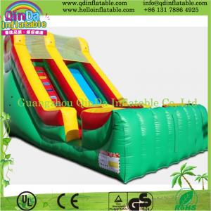 China 2015 hot inflatable slide for pool,inflatable water slide,water inflatable slide supplier
