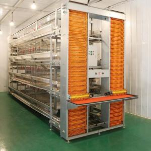 Q235 Steel Automatic Poultry Farm Equipment Chicken Layer Cages For Laying Hens