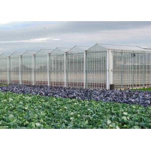 Hydroponic Planting Agricultural Polycarbonate Greenhouse