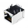 1x10/100Mbps RJ45 Jack modulaire 13F-64GYD2SNW2NL avec le transformateur