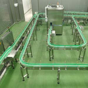 China Customized Chain Conveyors Systems Belt Transfer supplier