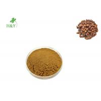 Brown Yellow Herbal Extract Powder Cherokee Rose Fruit Extract Anti Oxidation