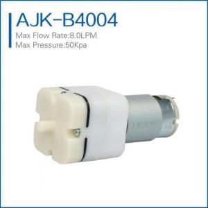 China high flow micro automotive air pump supplier