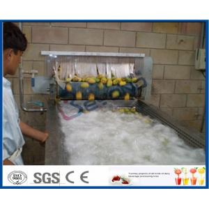 China Pineapple Mango Processing Line , Fruit Juice Mango Pulp Processing Plant supplier